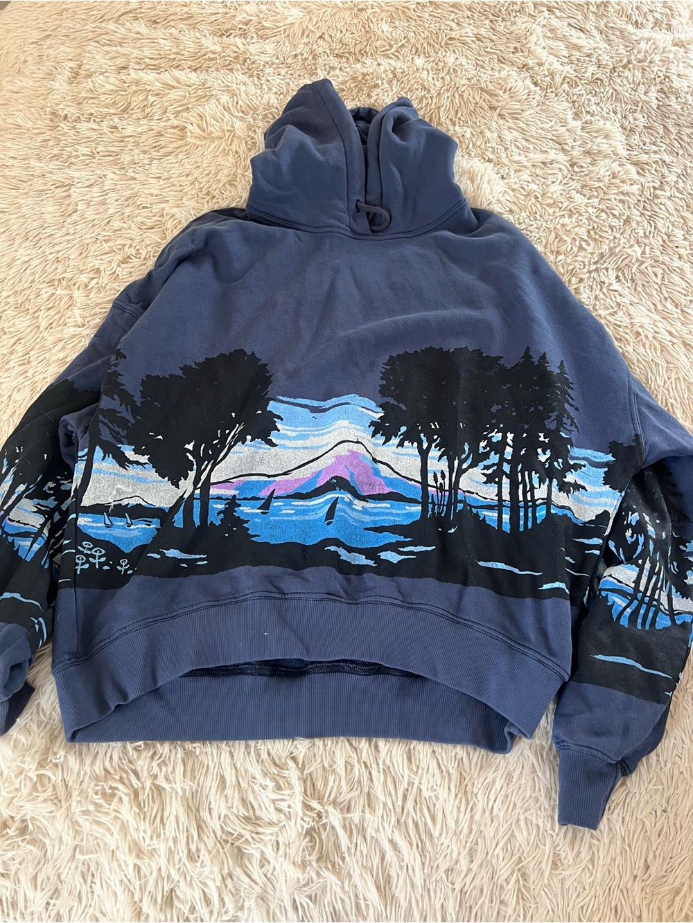 Free People Navy Scenic Graphic Crewneck Sweatshirt